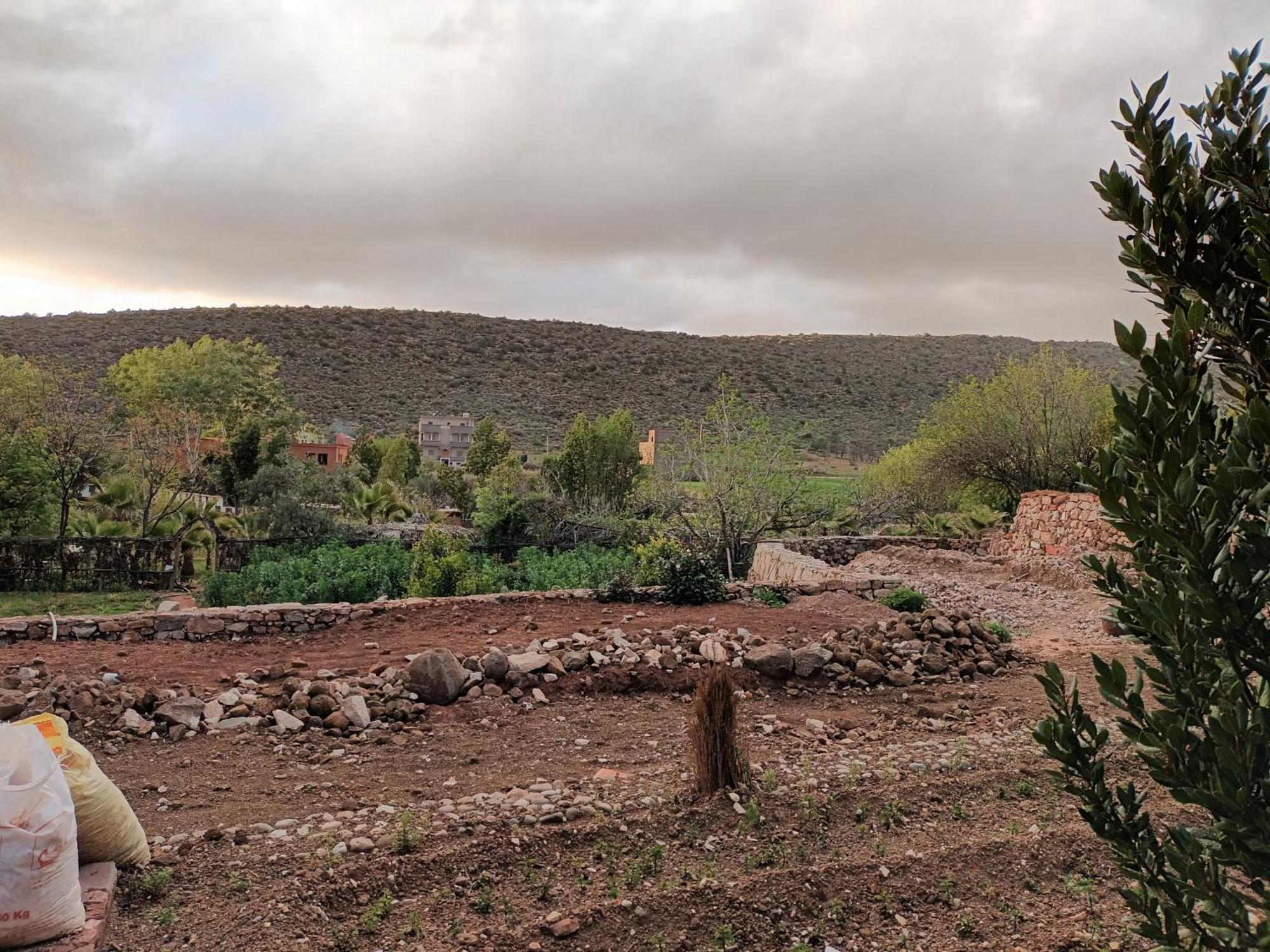 Ecolodge Espace Tamount دمنات المظهر الخارجي الصورة