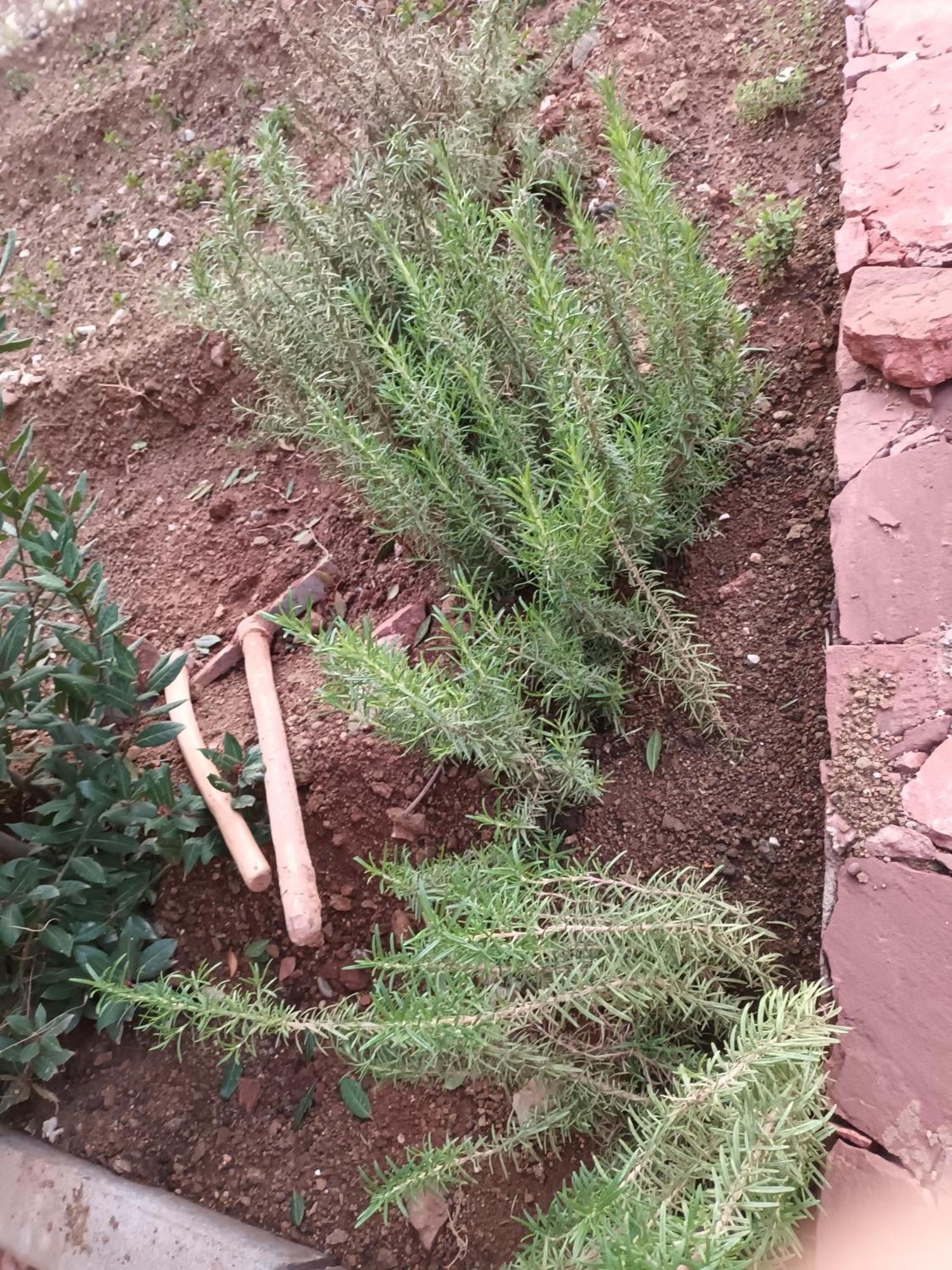 Ecolodge Espace Tamount دمنات المظهر الخارجي الصورة