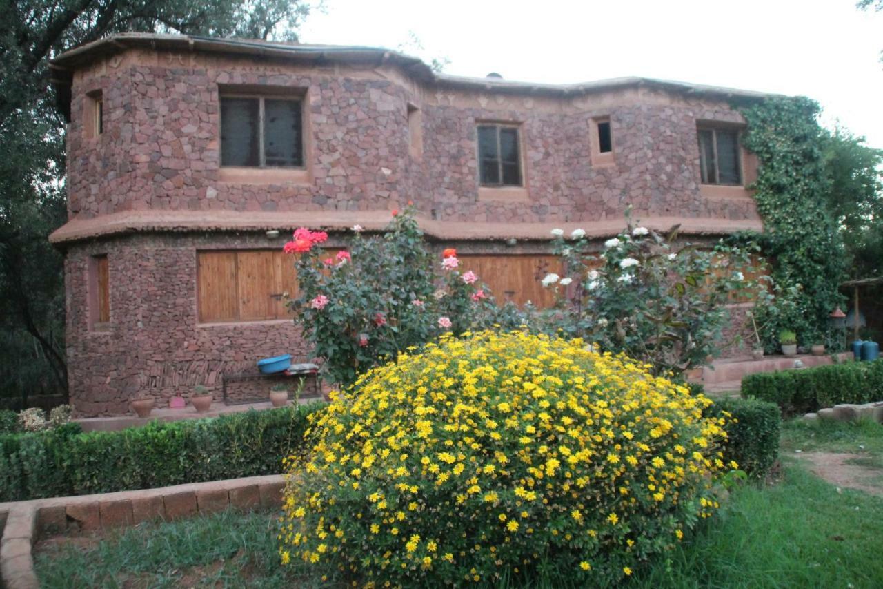Ecolodge Espace Tamount دمنات المظهر الخارجي الصورة