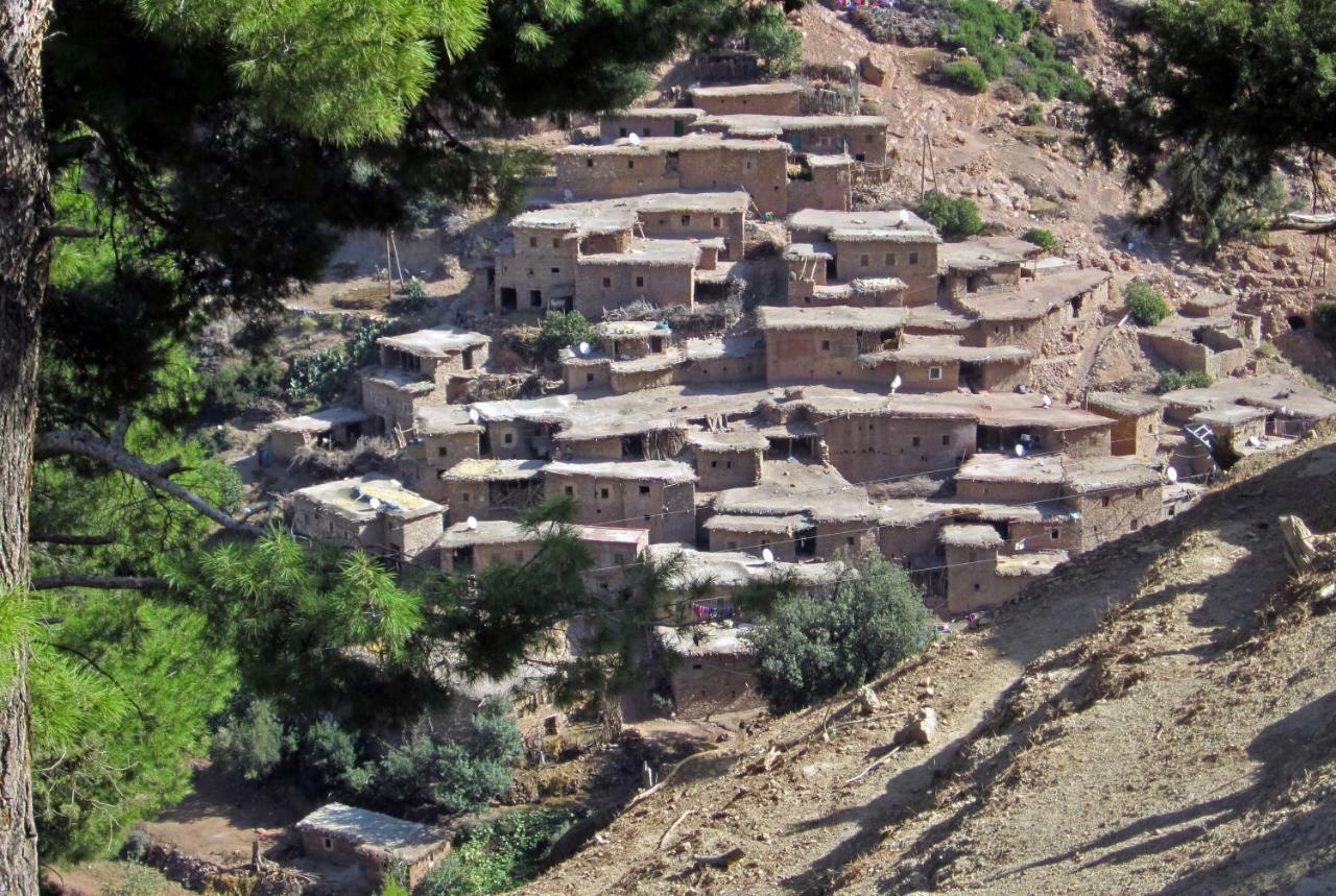 Ecolodge Espace Tamount دمنات المظهر الخارجي الصورة