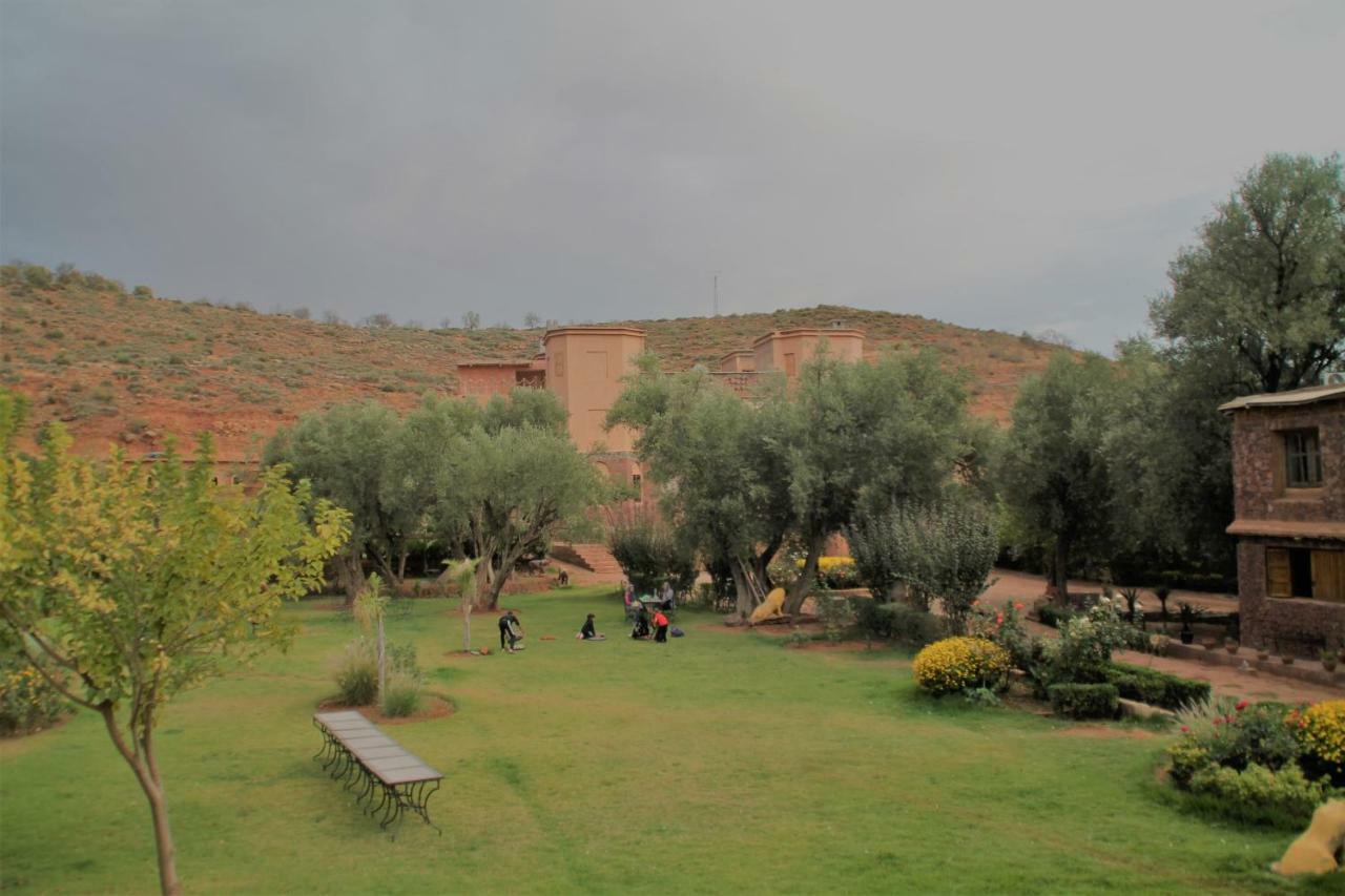 Ecolodge Espace Tamount دمنات المظهر الخارجي الصورة