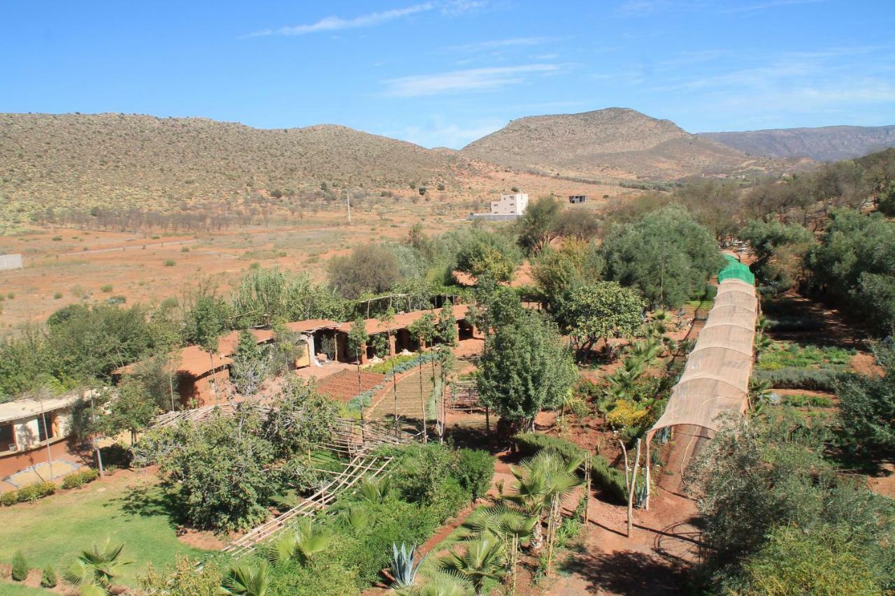 Ecolodge Espace Tamount دمنات المظهر الخارجي الصورة
