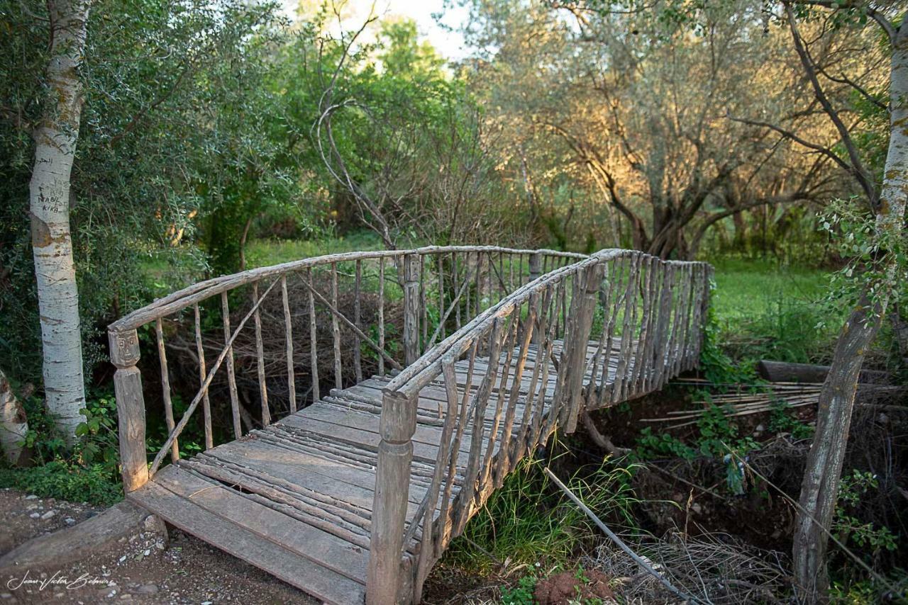Ecolodge Espace Tamount دمنات المظهر الخارجي الصورة