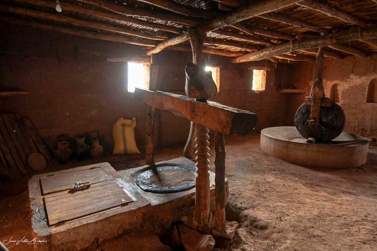 Ecolodge Espace Tamount دمنات المظهر الخارجي الصورة