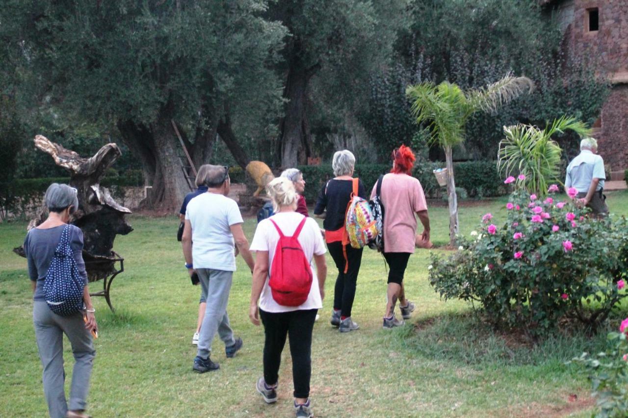 Ecolodge Espace Tamount دمنات المظهر الخارجي الصورة
