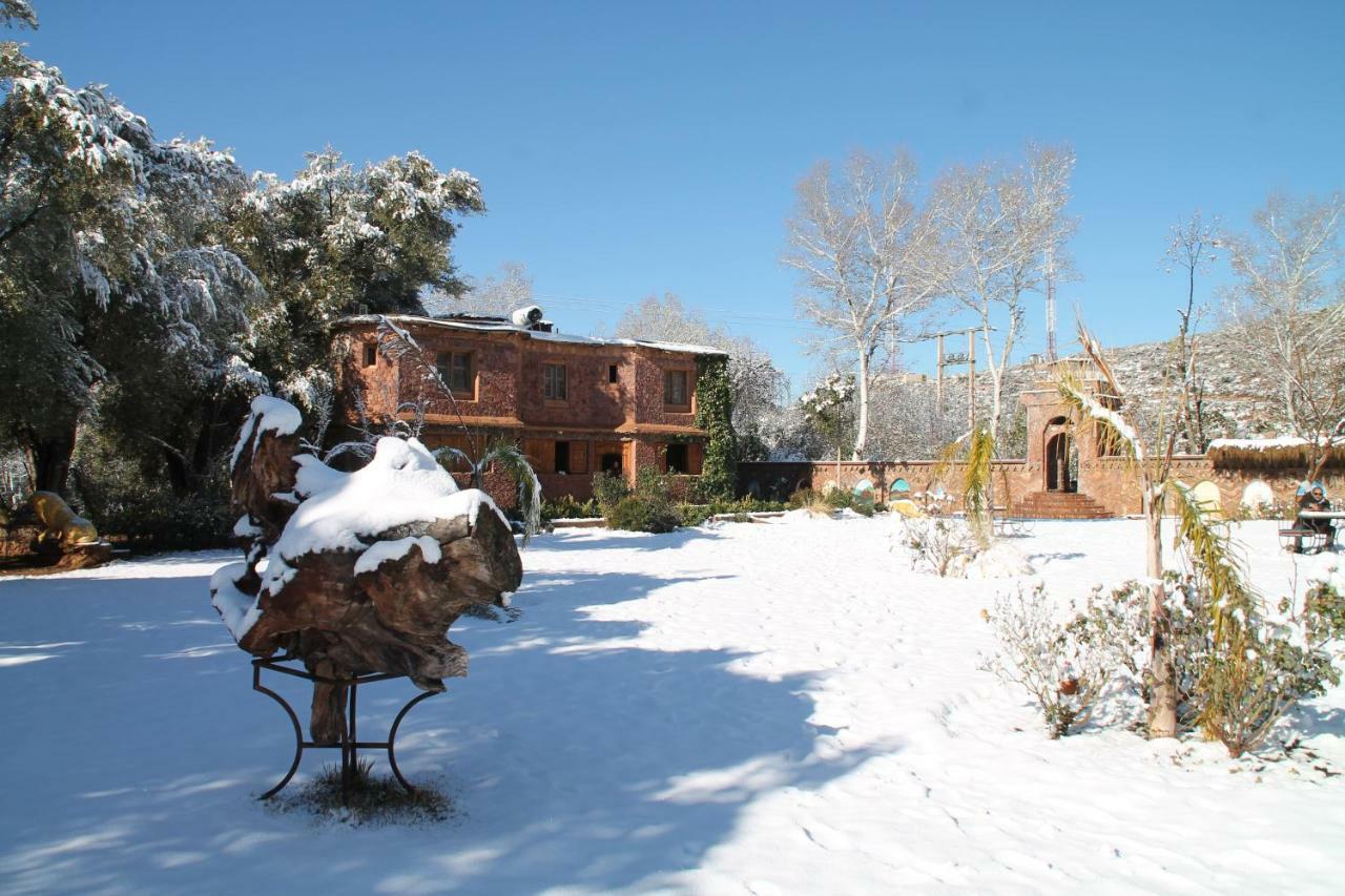 Ecolodge Espace Tamount دمنات المظهر الخارجي الصورة