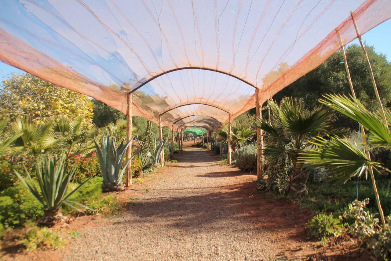 Ecolodge Espace Tamount دمنات المظهر الخارجي الصورة